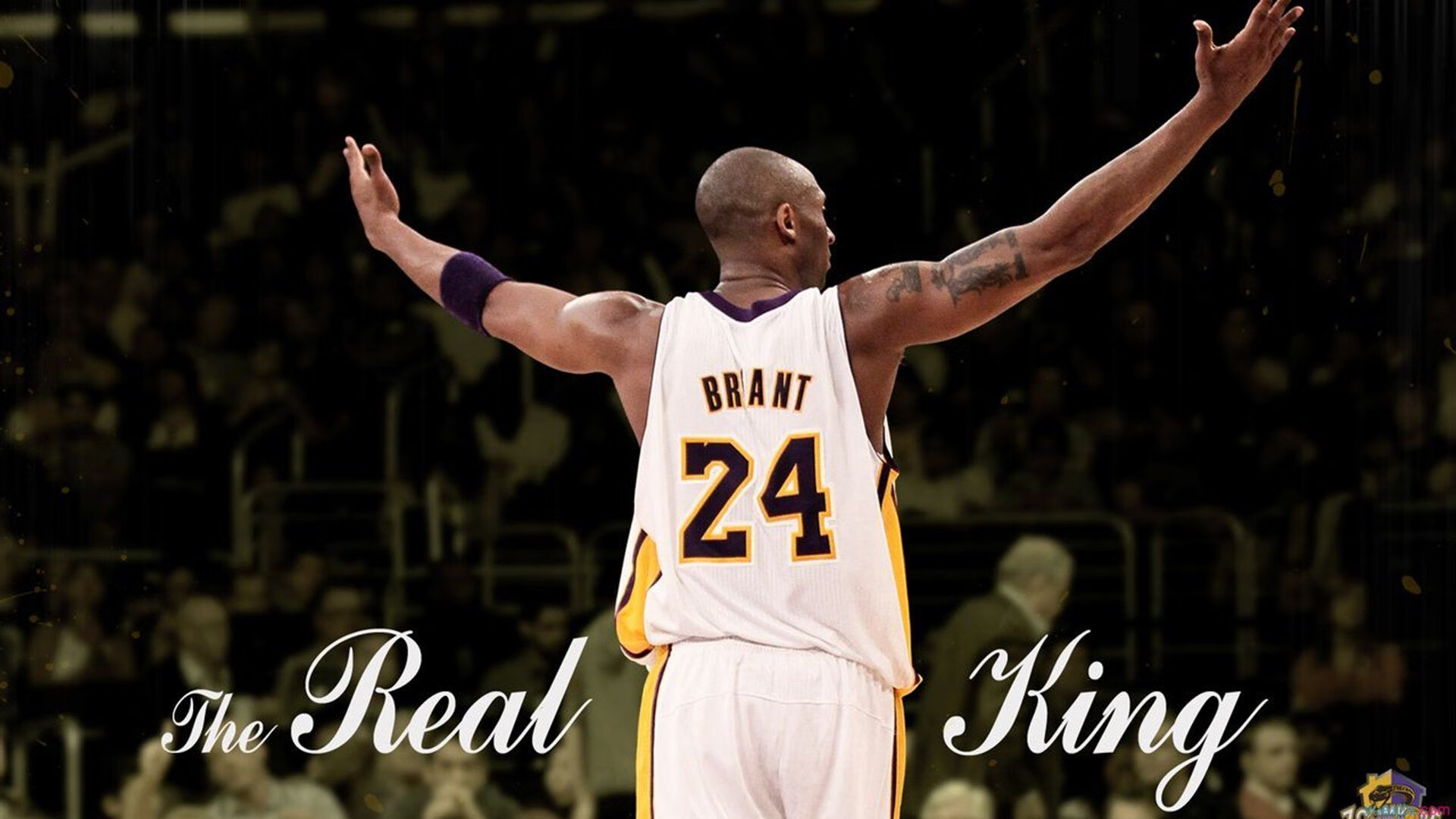 _快船团队协作,战胜劲敌_,快船队全称