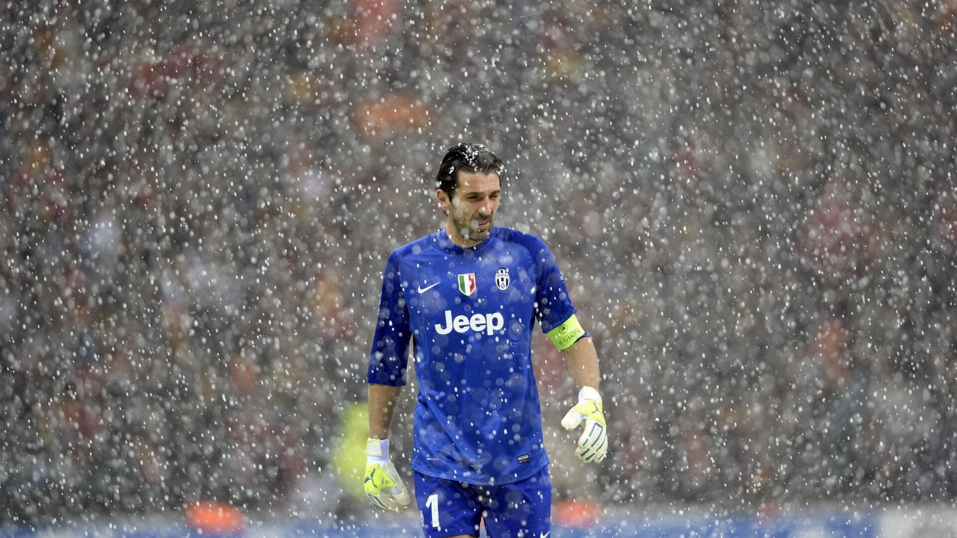 车迷狂欢：现场用各种方式表达对车手的支持与热爱，车迷小说阅读答案